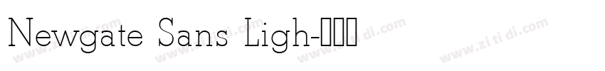 Newgate Sans Ligh字体转换